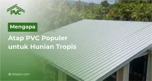Read more about the article Mengapa Atap PVC Populer untuk Hunian Tropis